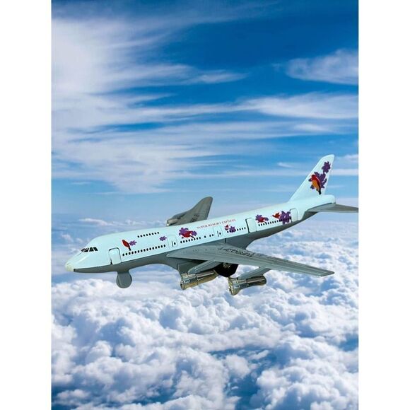 Super Resort Express Turbo JetWhite 747 Plane - Picture 1 of 10